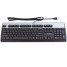 HP Standard USB Keyboard, Silver Carbonite